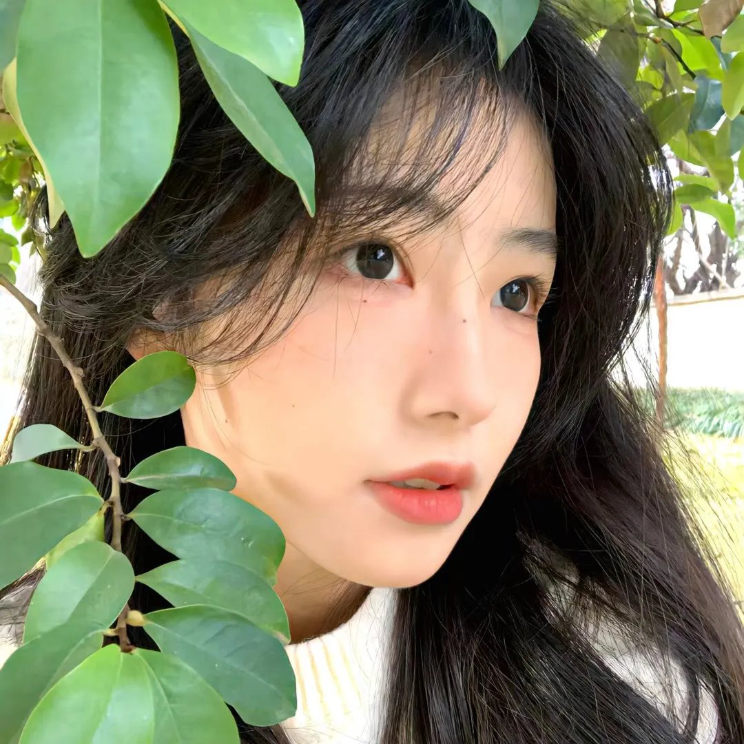 异星探索